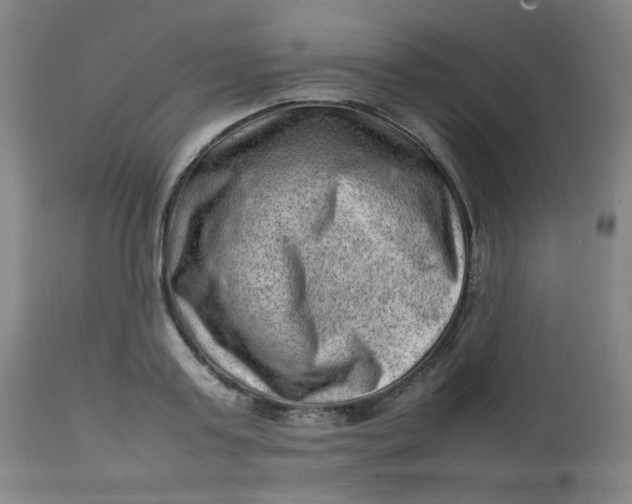 X0000112810795200909111258