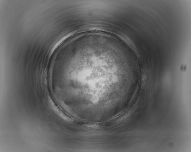 X0000112810798200909111258