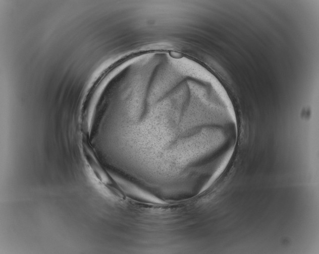 X0000112810800200909111258