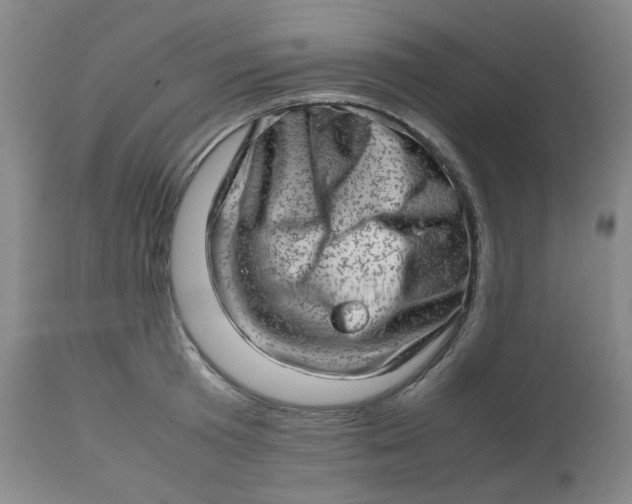 X0000112810801200909111258