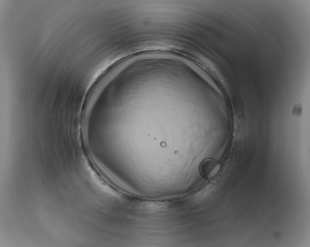 X0000112810802200909111258