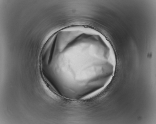 X0000112810803200909111258