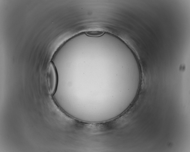 X0000112810805200909111258