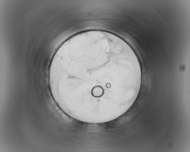 X0000112810807200909111258