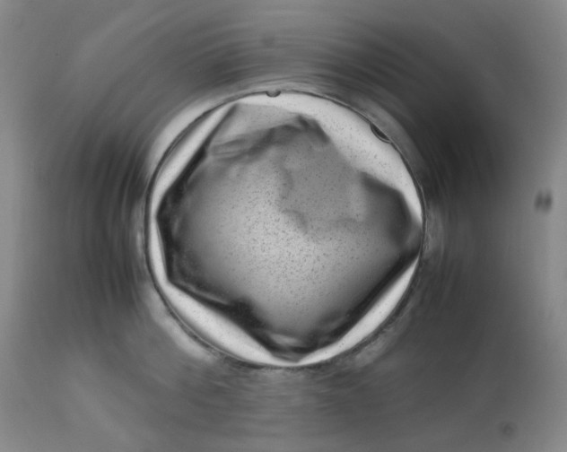 X0000112810812200909111258