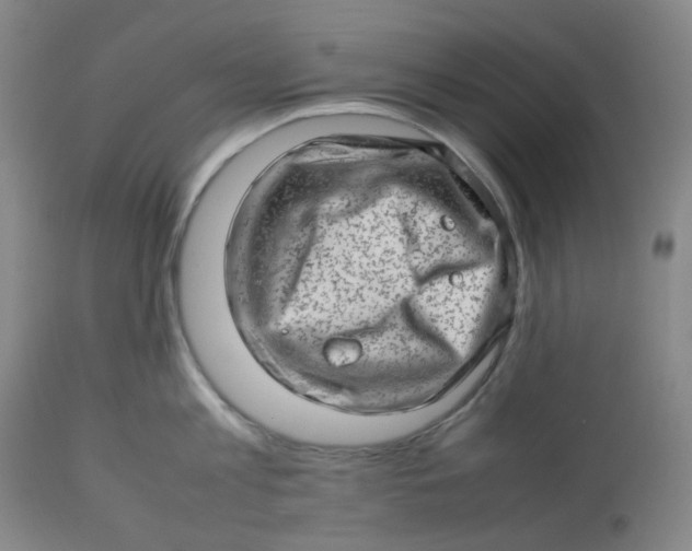 X0000112810813200909111258