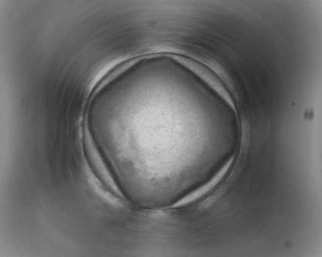 X0000112810814200909111258