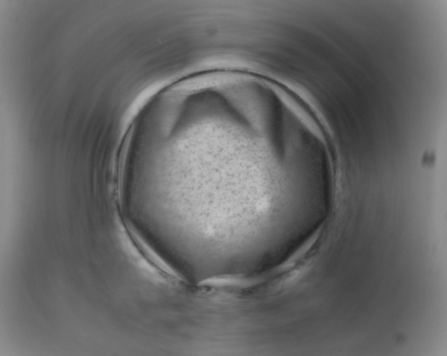 X0000112810815200909111258