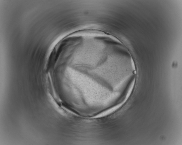 X0000112810816200909111258