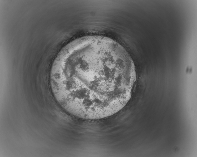 X0000112810817200909111257