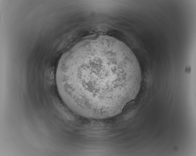 X0000112810818200909111257