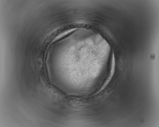 X0000112810821200909111257