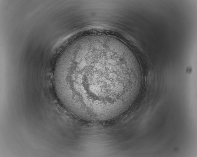 X0000112810822200909111257