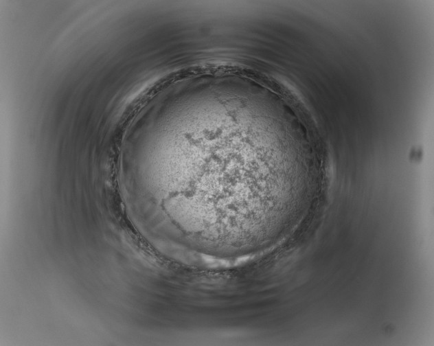 X0000112810823200909111257