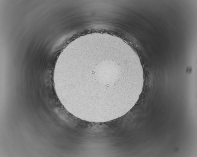 X0000112810824200909111257