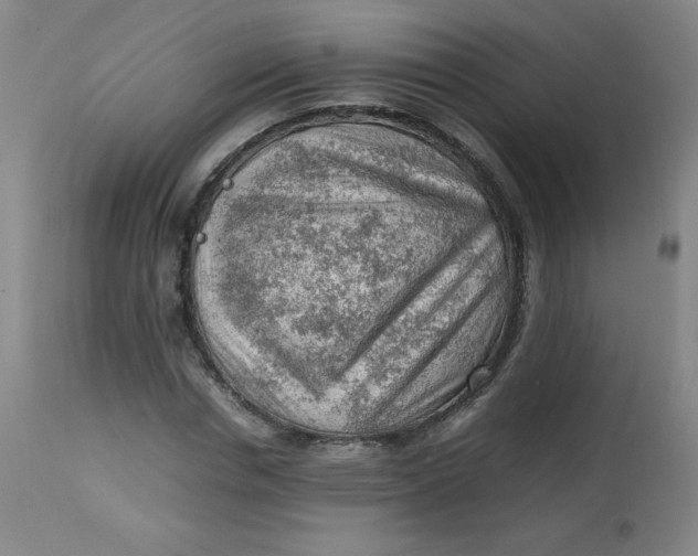 X0000112810826200909111257