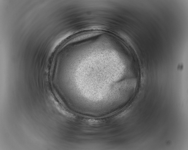 X0000112810827200909111257