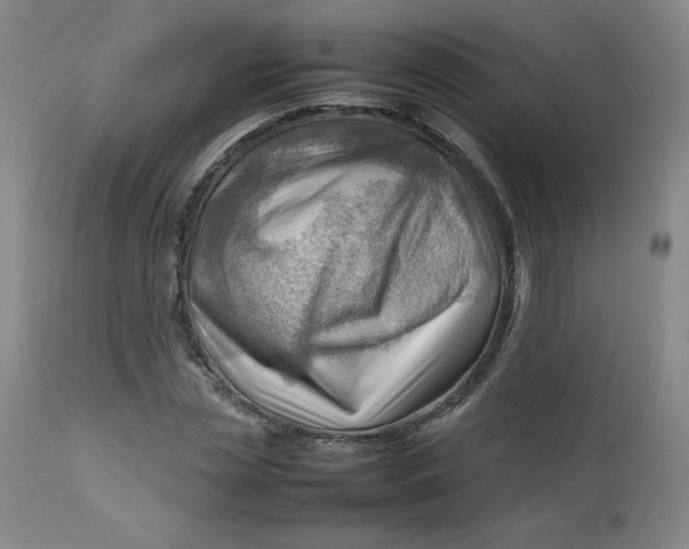 X0000112810829200909111257