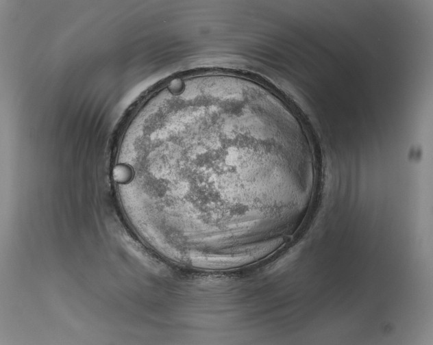 X0000112810830200909111257