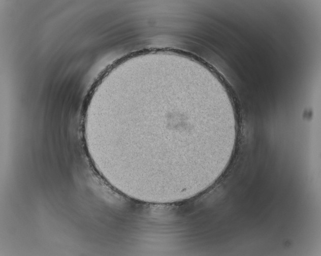 X0000112810832200909111257