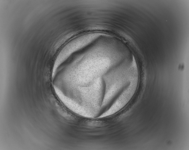 X0000112810833200909111257