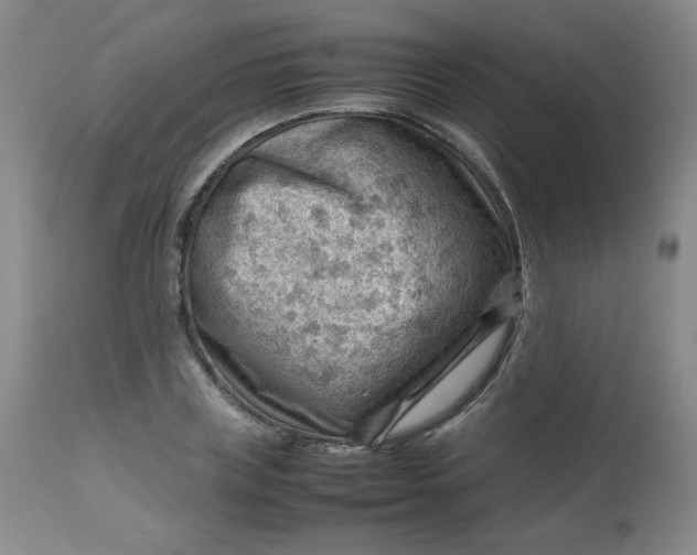 X0000112810835200909111257