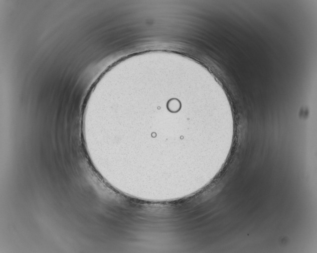 X0000112810836200909111257