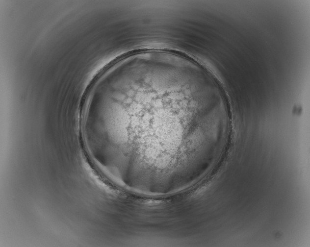 X0000112810839200909111257