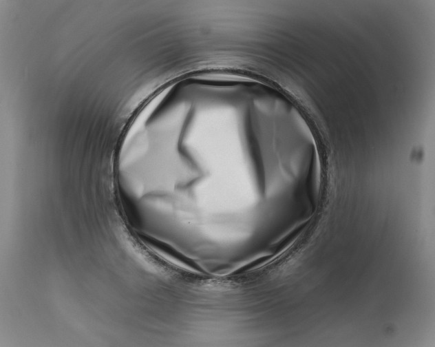 X0000112810842200909111257