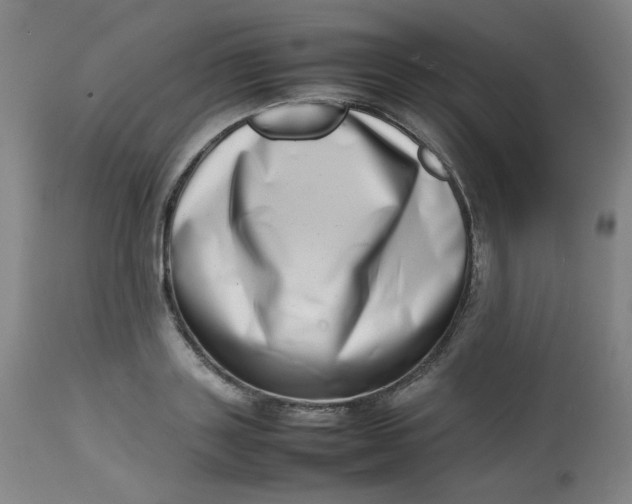 X0000112810843200909111257