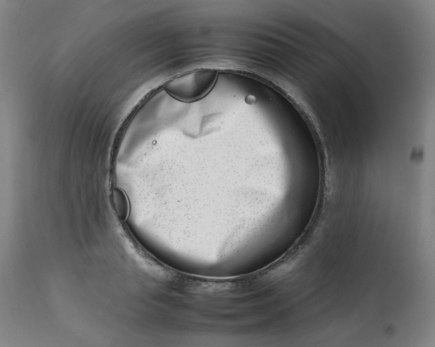 X0000112810845200909111257