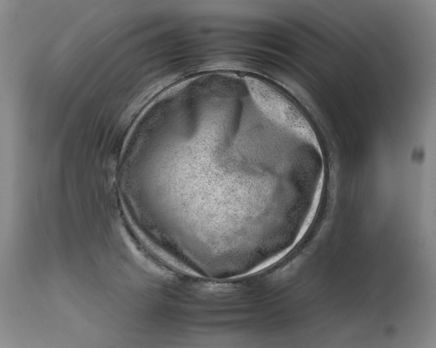 X0000112810849200909111257