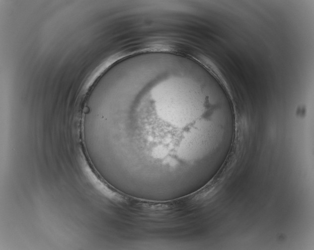 X0000112810851200909111257