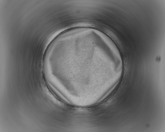 X0000112810852200909111258