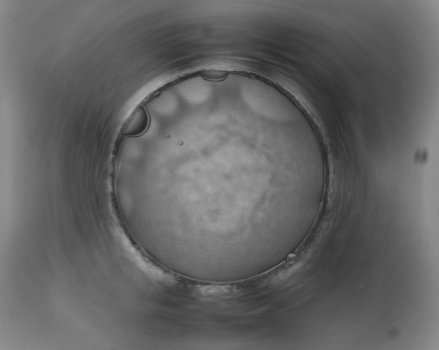 X0000112810853200909111258