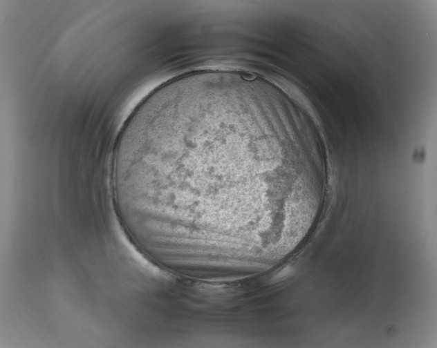 X0000112810855200909111258