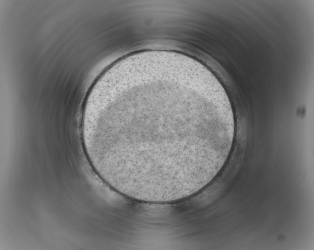 X0000112810856200909111258