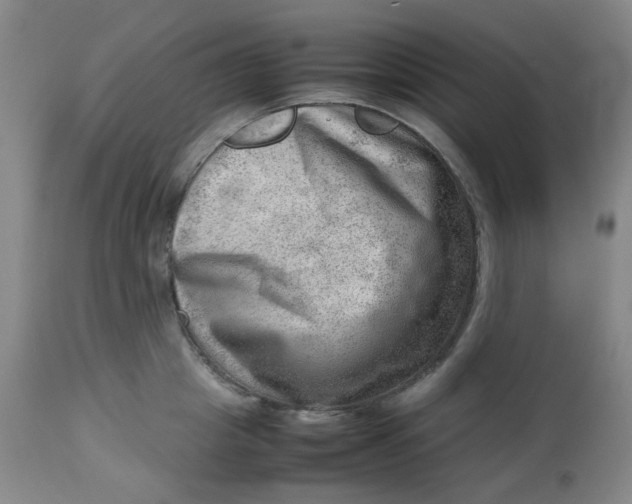 X0000112810857200909111258