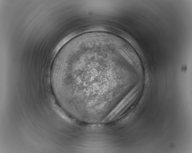 X0000112810858200909111258