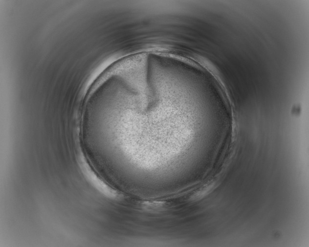 X0000112810859200909111258