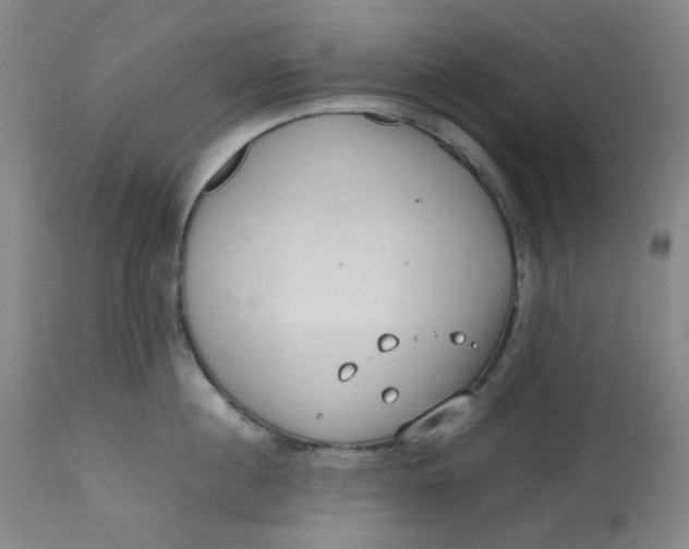 X0000112810860200909111258