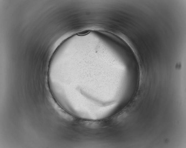 X0000112810861200909111258