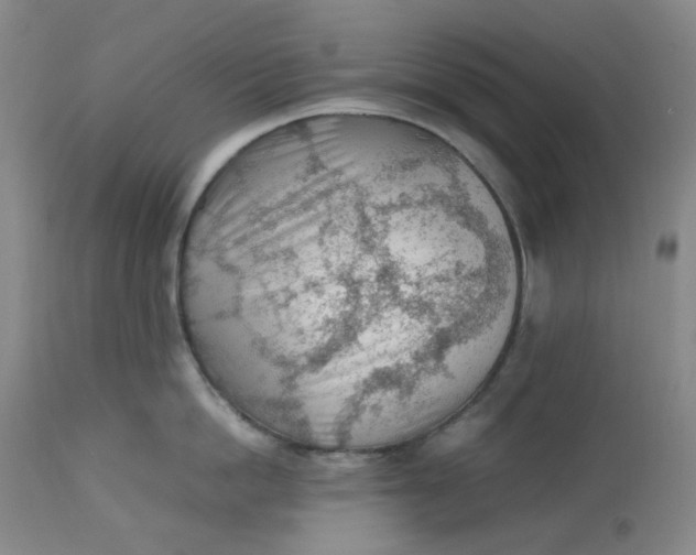 X0000112810862200909111258