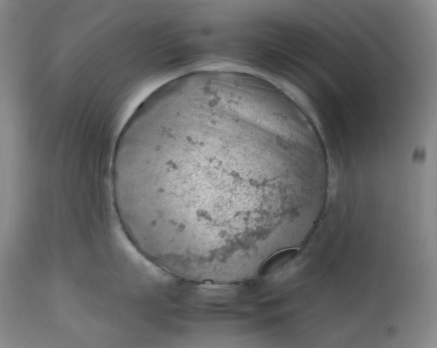 X0000112810863200909111258