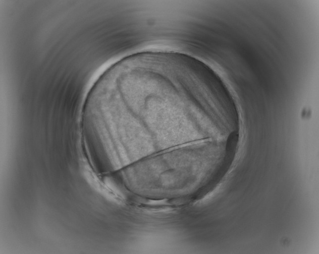 X0000112810864200909111258