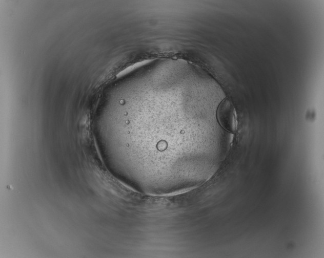 X0000112810866200909111257