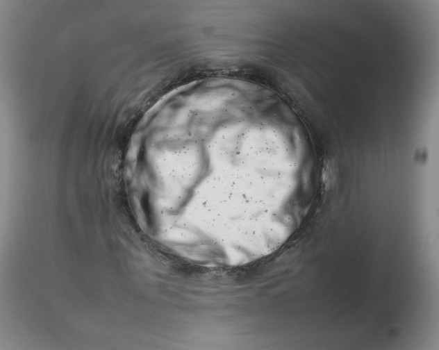 X0000112810867200909111257