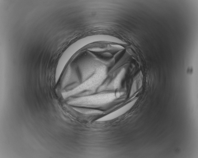 X0000112810868200909111257