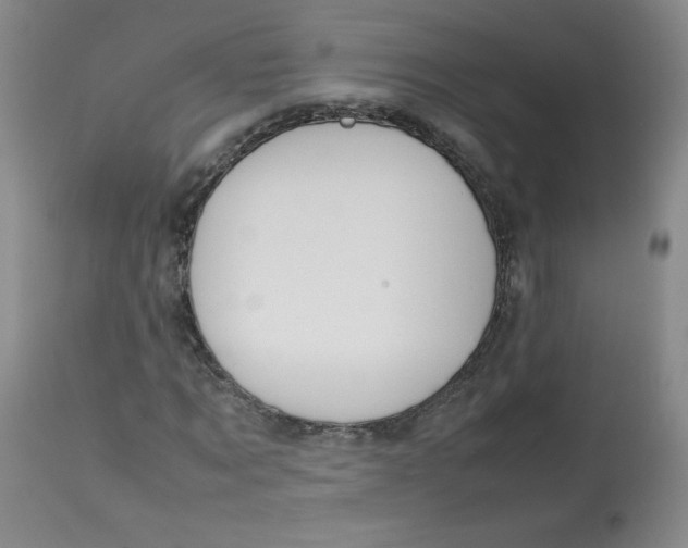 X0000112810869200909111257