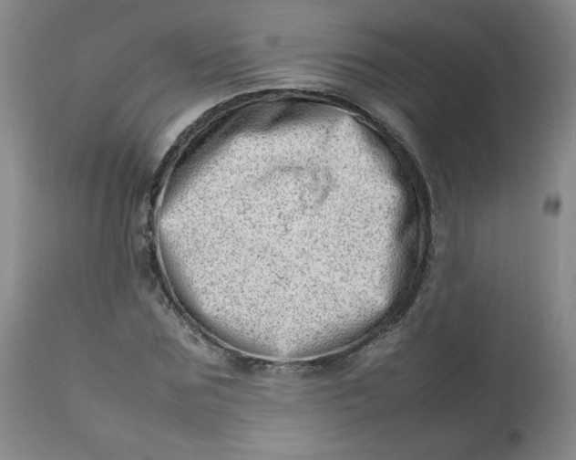 X0000112810875200909111257